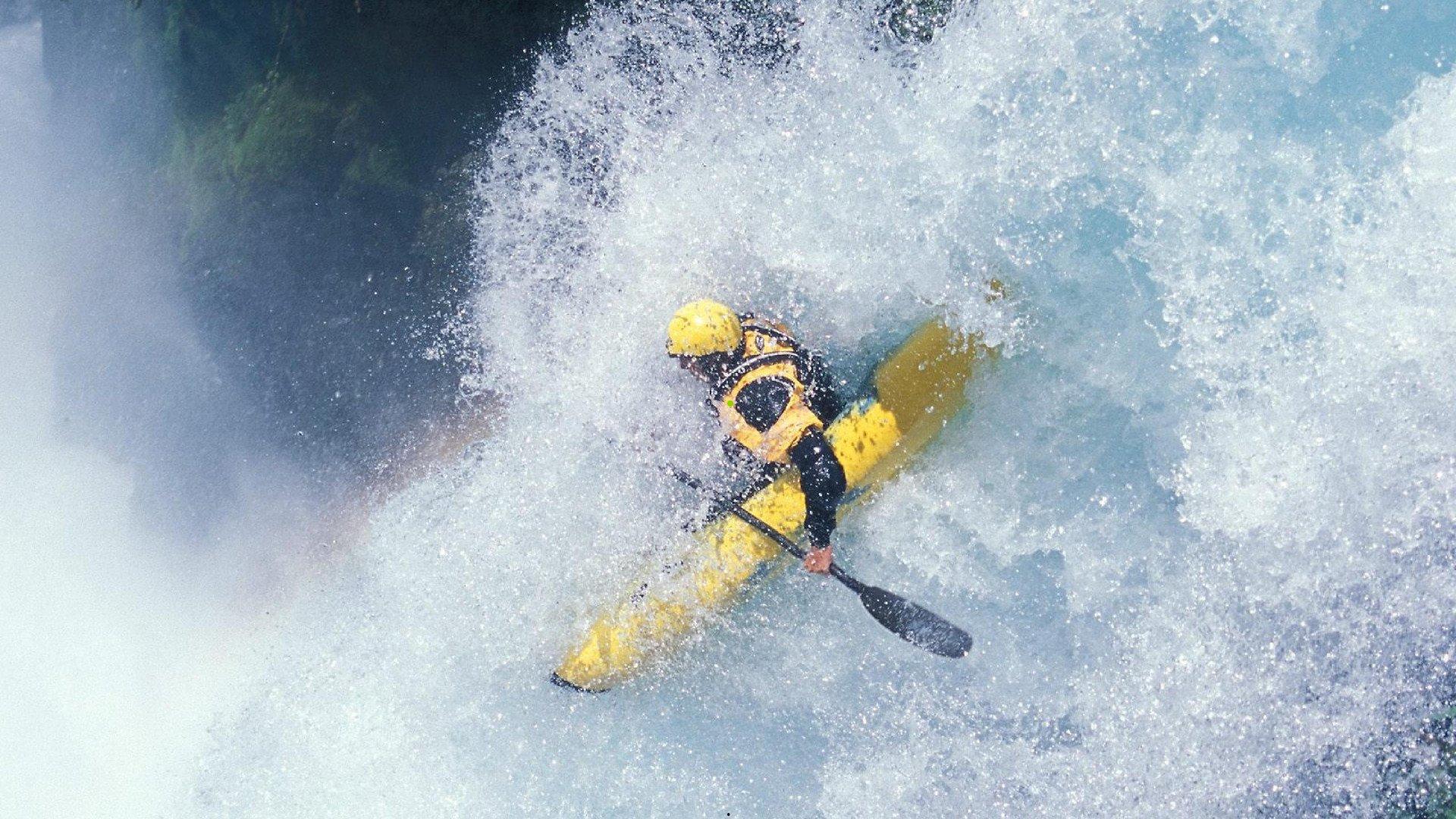 卡迪夫城主场惊现老鼠突袭赛场！运营主管坦言，36年职业生涯首次目睹