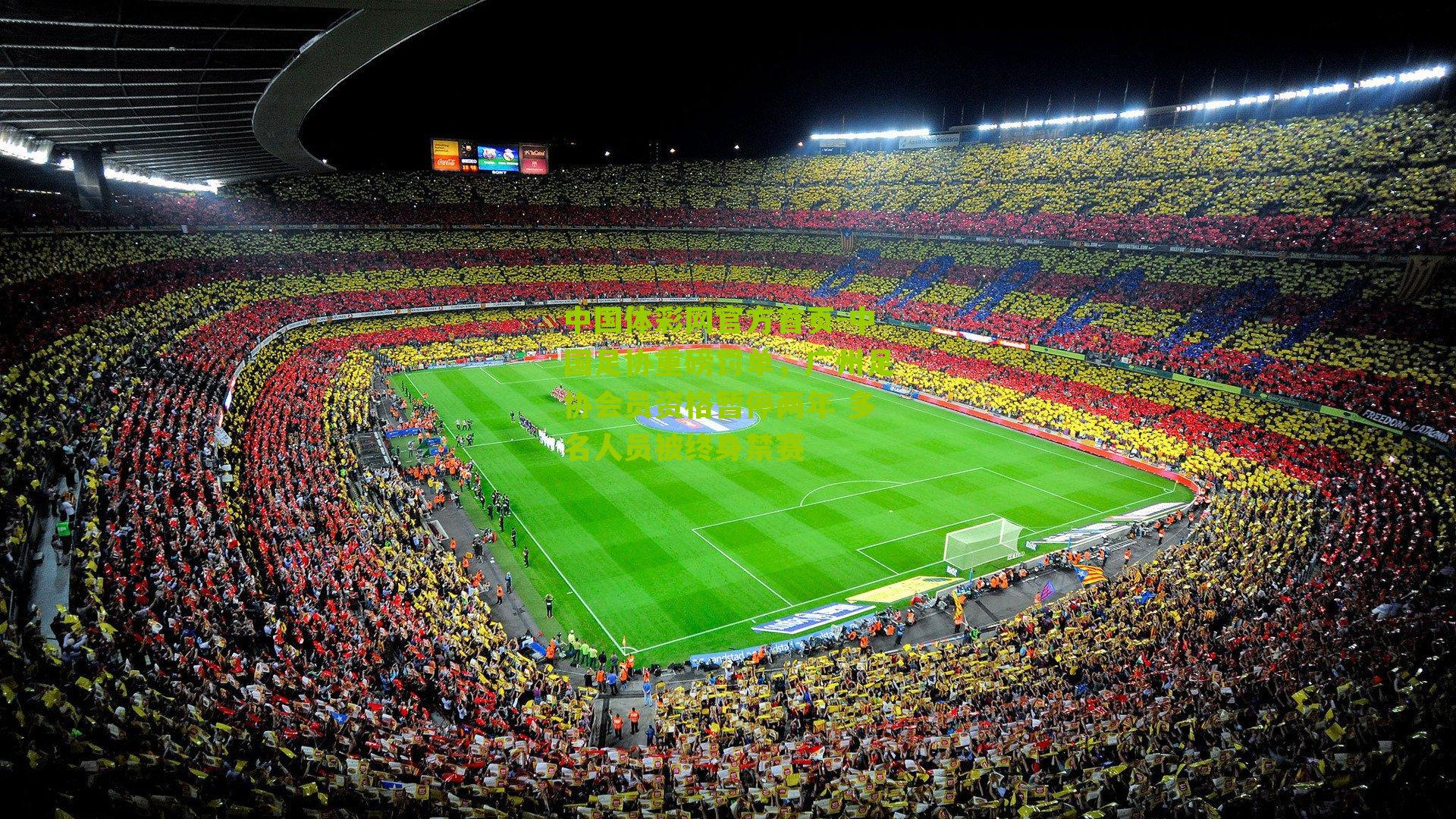 中国足协重磅罚单，广州足协会员资格暂停两年 多名人员被终身禁赛