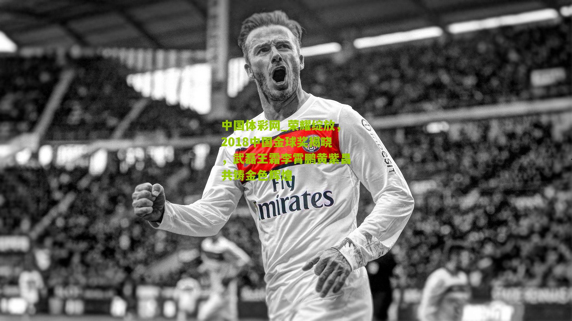 荣耀绽放，2018中国金球奖揭晓，武磊王霜李霄鹏黄紫昌共铸金色辉煌