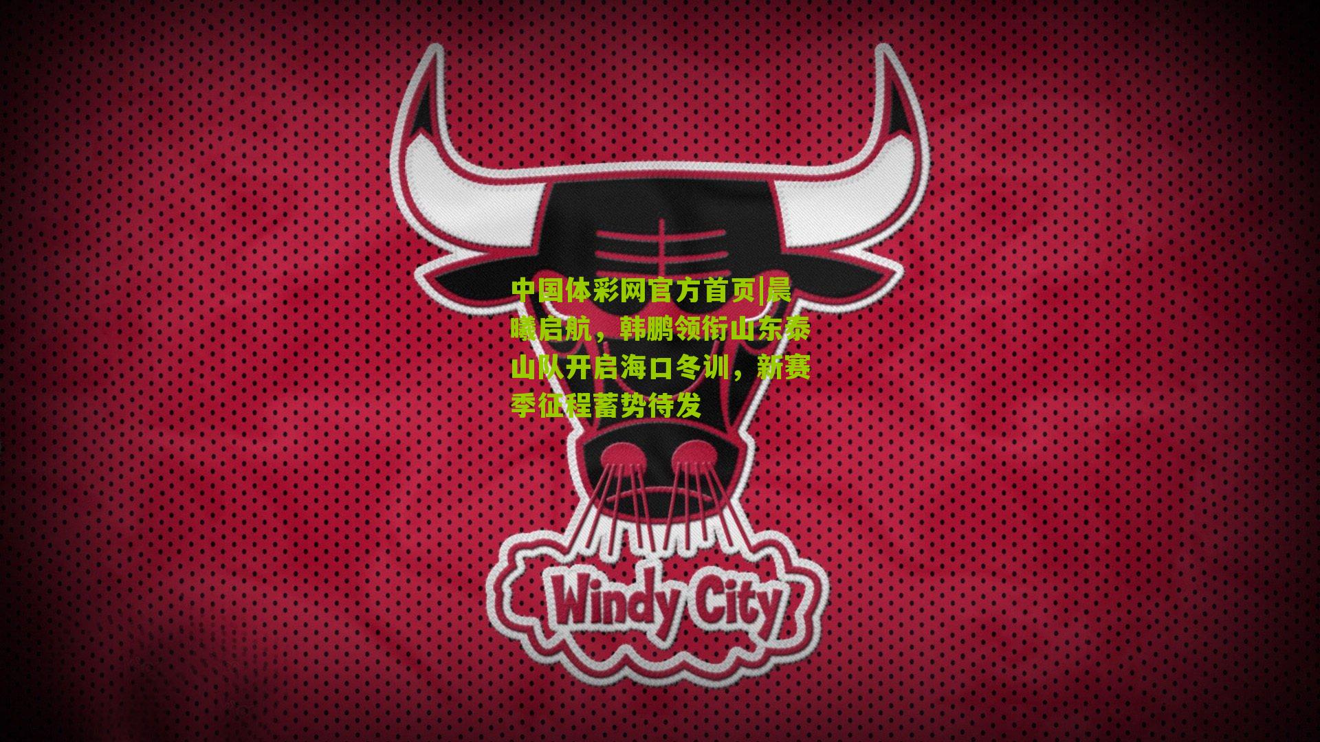 晨曦启航，韩鹏领衔山东泰山队开启海口冬训，新赛季征程蓄势待发